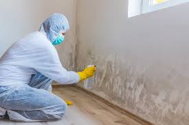 Best Crawl Space Mold Remediation  in Greenfield, CA