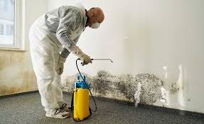 Best Attic Mold Removal  in Greenfield, CA