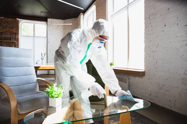 Best Environmental Consulting for Mold Prevention  in Greenfield, CA